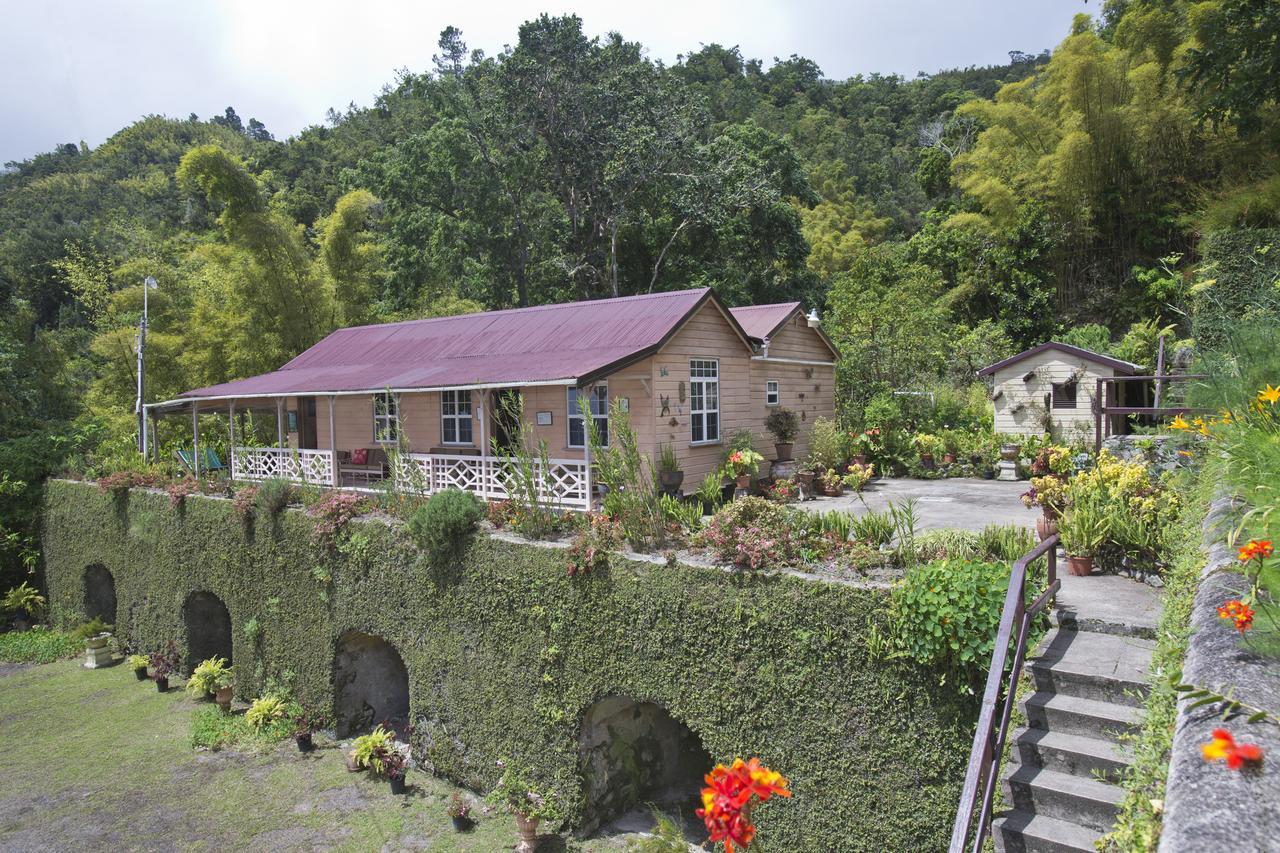 Barbecue Heritage Gardens Cottage - Jm Newcastle Exteriér fotografie